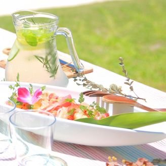 A Sun-Drenched Tropical Coastal Picnic