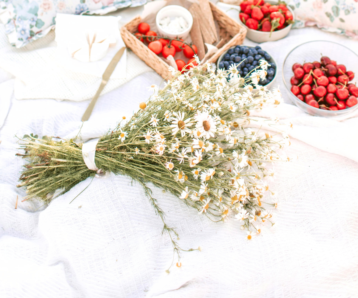 5 Creative Spots to Host Your Next Picnic